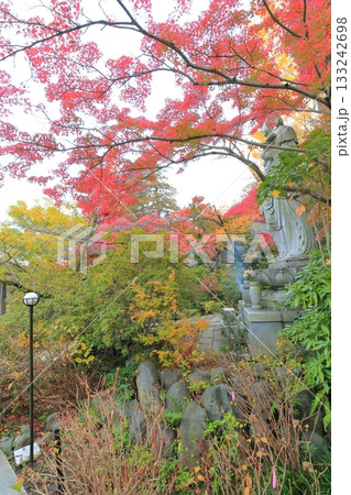 日野市高幡不動尊 五重塔と紅葉 日野市高幡不動尊 五重塔と紅葉 133242698