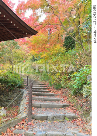 日野市高幡不動尊　五重塔と紅葉　 133242699