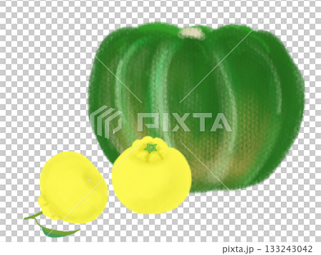 カボチャとゆずの手描きイラスト 133243042