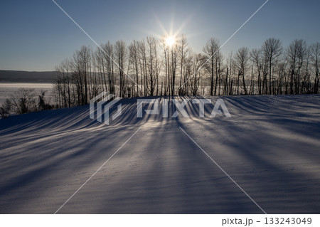 厳冬期の網走湖畔 133243049