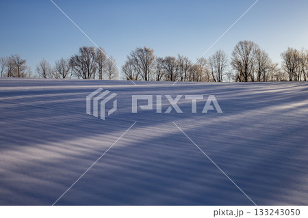 厳冬期の網走湖畔 133243050
