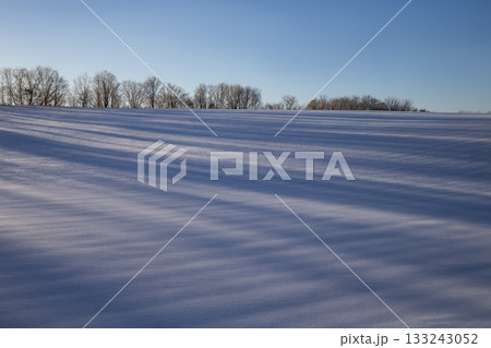 厳冬期の網走湖畔 133243052