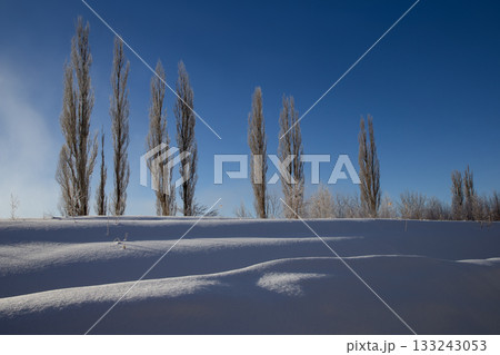 厳冬期の網走湖畔 133243053