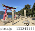 広島　岩小島　厳島神社の鳥居 133243144