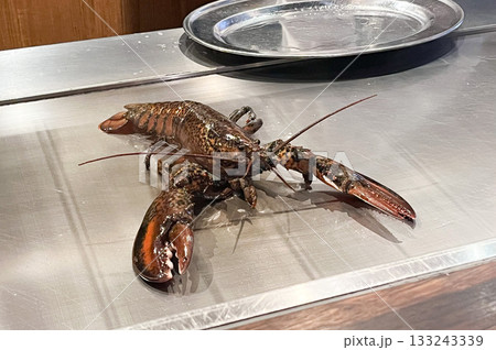 オマール海老の鉄板焼き 133243339