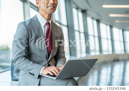ノートパソコンを操作するシニアのビジネスマン ノートパソコンを操作するシニアのビジネスマン 133243346