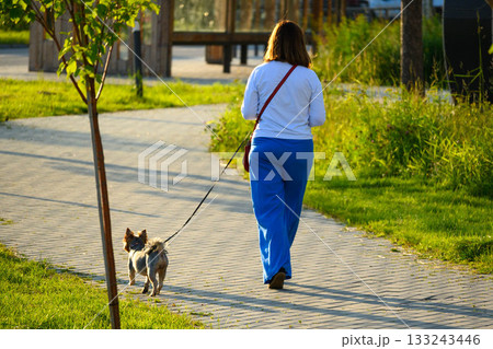Morning Walk of Small Dog with Owners on Trail 133243446