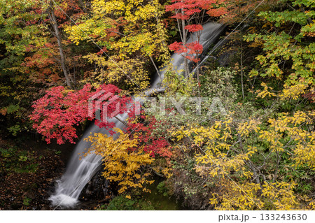 恵庭渓谷の紅葉 恵庭渓谷の紅葉 133243630