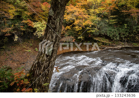 恵庭渓谷の紅葉 133243636