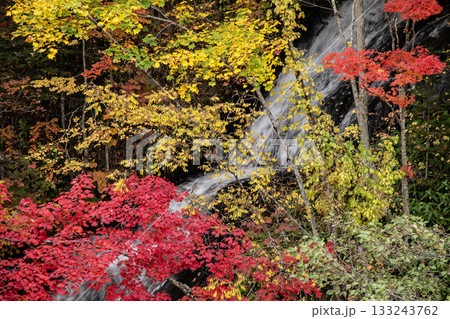 恵庭渓谷の紅葉 133243762