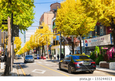 秋のソウル　江南　カロスキル（街路樹通り） 133244013