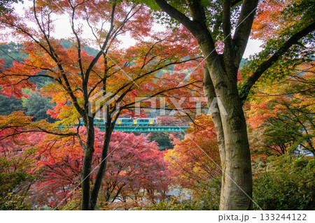 紅葉の矢祭山公園 紅葉の矢祭山公園 133244122