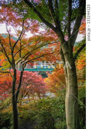 紅葉の矢祭山公園 紅葉の矢祭山公園 133244123