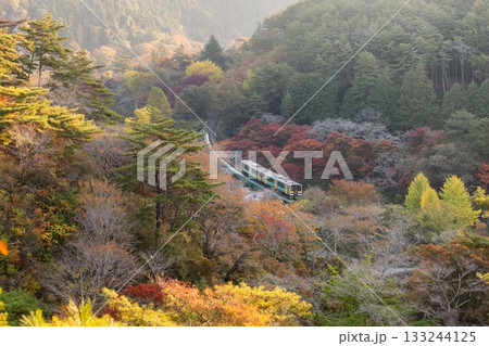 紅葉の矢祭山公園 133244125