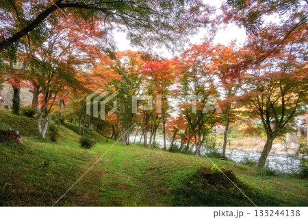 紅葉の矢祭山公園 133244138