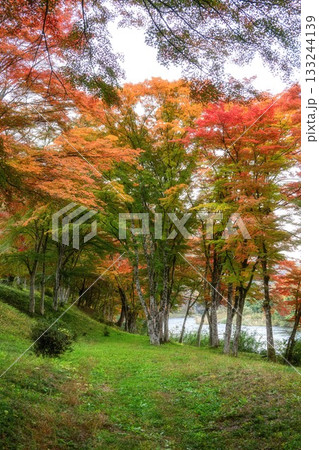 紅葉の矢祭山公園 紅葉の矢祭山公園 133244139