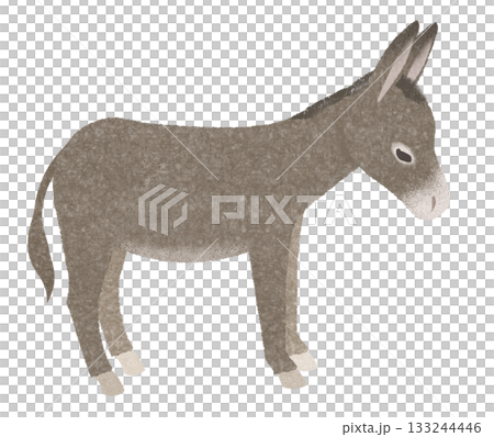 驢的插圖 驢的插圖 133244446