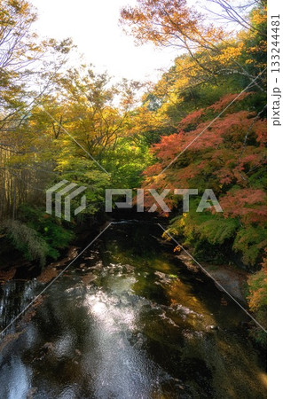 茨城県大子町　袋田の滝周辺の紅葉 133244481