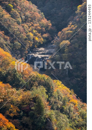 茨城県大子町 袋田の滝周辺の紅葉 茨城県大子町 袋田の滝周辺の紅葉 133244493