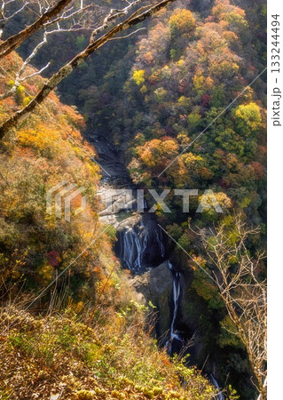 茨城県大子町　袋田の滝周辺の紅葉 133244494