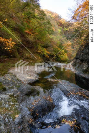 茨城県大子町　袋田の滝周辺の紅葉 133244499