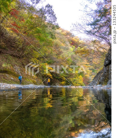 茨城県大子町 袋田の滝周辺の紅葉 茨城県大子町 袋田の滝周辺の紅葉 133244505