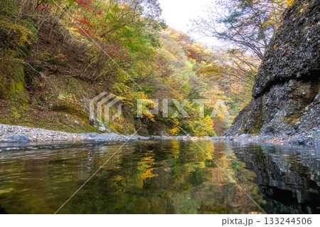 茨城県大子町 袋田の滝周辺の紅葉 茨城県大子町 袋田の滝周辺の紅葉 133244506