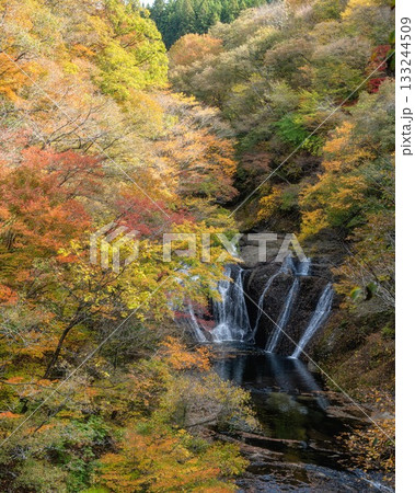 茨城県大子町　袋田の滝周辺の紅葉 133244509