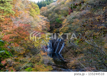 茨城県大子町 袋田の滝周辺の紅葉 茨城県大子町 袋田の滝周辺の紅葉 133244510