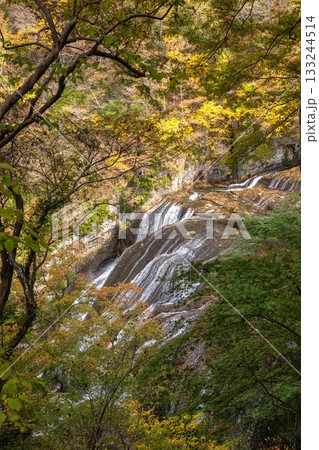 茨城県大子町 袋田の滝周辺の紅葉 茨城県大子町 袋田の滝周辺の紅葉 133244514