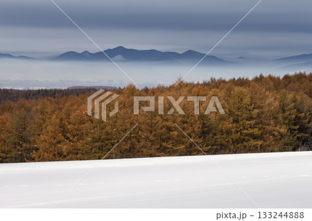 初雪の丘 133244888