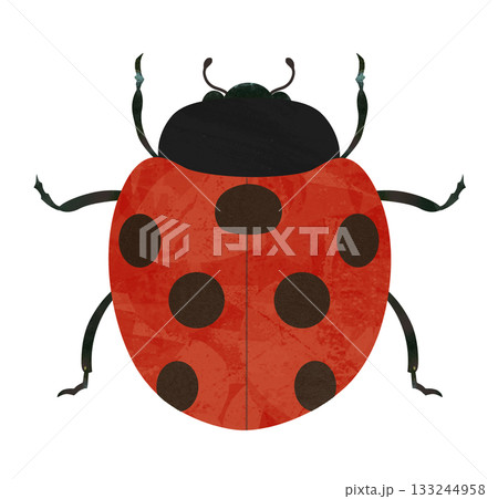 てんとう虫 てんとう虫 133244958