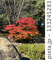 紅葉のある風景 133245283