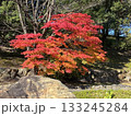 紅葉のある風景 133245284
