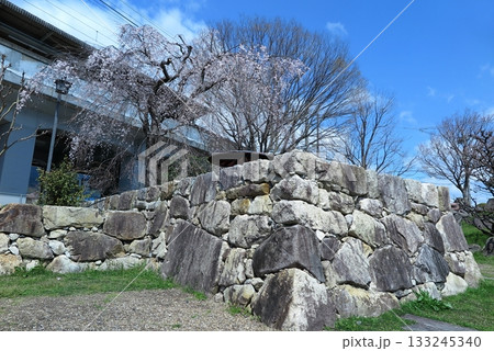 滋賀県大津市の坂本:JR湖西線「比叡山坂本」駅前の「坂本石積みの郷公園」(穴太衆積みの石垣見本) 滋賀県大津市の坂本:JR湖西線「比叡山坂本」駅前の「坂本石積みの郷公園」(穴太衆積みの石垣見本) 133245340