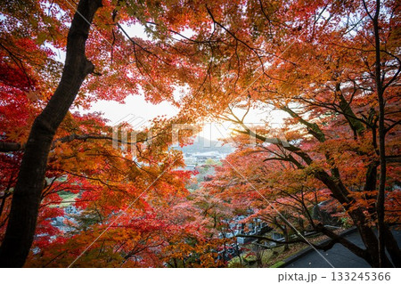 茨城の紅葉　永源寺もみじ寺 133245366