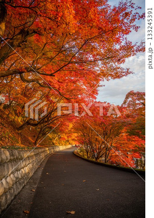 茨城の紅葉　永源寺もみじ寺 133245391