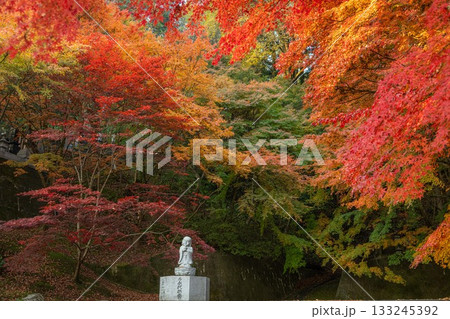 茨城の紅葉　永源寺もみじ寺 133245392