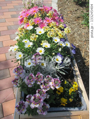 色とりどりの美しい花が咲き乱れる春の花壇 133245404