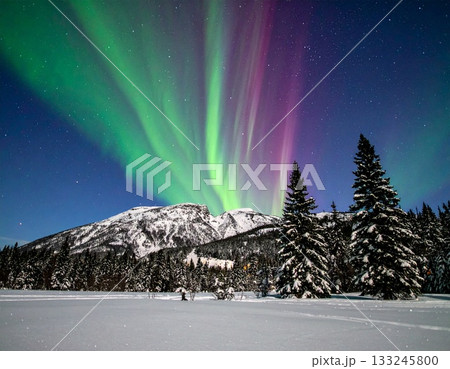 【AI生成画像】雪山の空に広がる美しいオーロラ 133245800