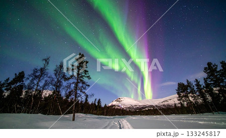 【AI生成画像】雪山の空に広がる美しいオーロラ 【AI生成画像】雪山の空に広がる美しいオーロラ 133245817
