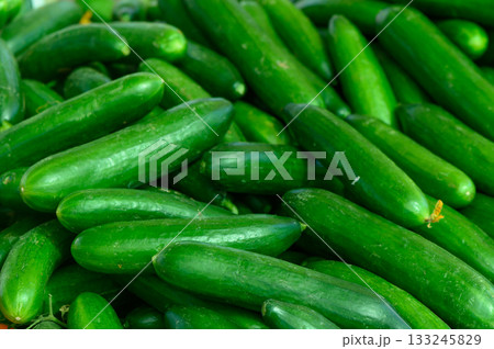 Freshly harvested cucumbers piled high at a vibrant farmers' market in mid-summer Freshly harvested cucumbers piled high at a vibrant farmers' market in mid-summer 133245829