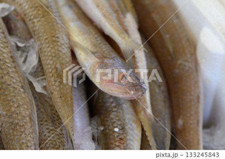 Freshly caught fish glistening on ice at a vibrant market in the early morning light Freshly caught fish glistening on ice at a vibrant market in the early morning light 133245843