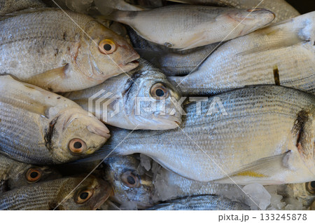 Freshly caught fish arranged on ice at a vibrant local market in the early morning sunlight 133245878