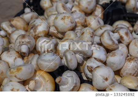 Freshly harvested white mushrooms displayed on a market stall in the afternoon sunlight 133245892