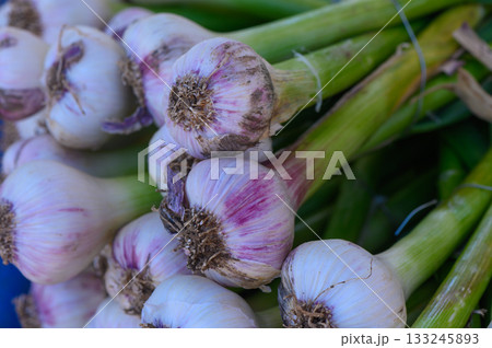 Freshly Harvested Garlic Bundles at the Market Showcasing Vibrant Purple Hues and Lush Green Stems 133245893