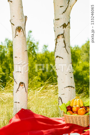 Picnic basket on blanket in woods Picnic basket on blanket in woods 133246065