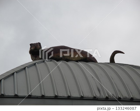 恐竜の町として有名な熊本県上益城郡御船町、御船町商工会議所の屋根に乗っている恐竜のオブジェ 恐竜の町として有名な熊本県上益城郡御船町、御船町商工会議所の屋根に乗っている恐竜のオブジェ 133246087