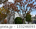 ＜千葉県＞千葉市　緑区役所 133246093