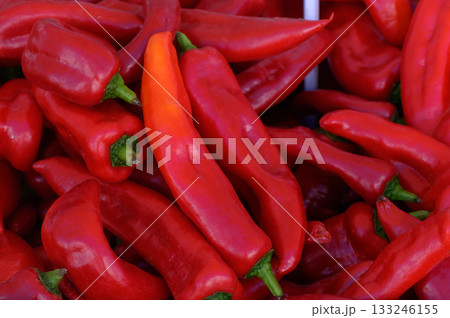 Vibrant collection of red chili peppers arranged beautifully at a local market stall Vibrant collection of red chili peppers arranged beautifully at a local market stall 133246155
